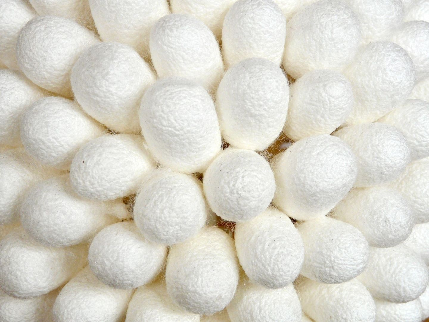 Close-up van witte, ovale zijdeachtige cocons met fijne vezels